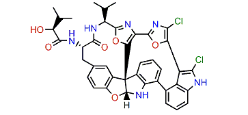 Diazonamide A